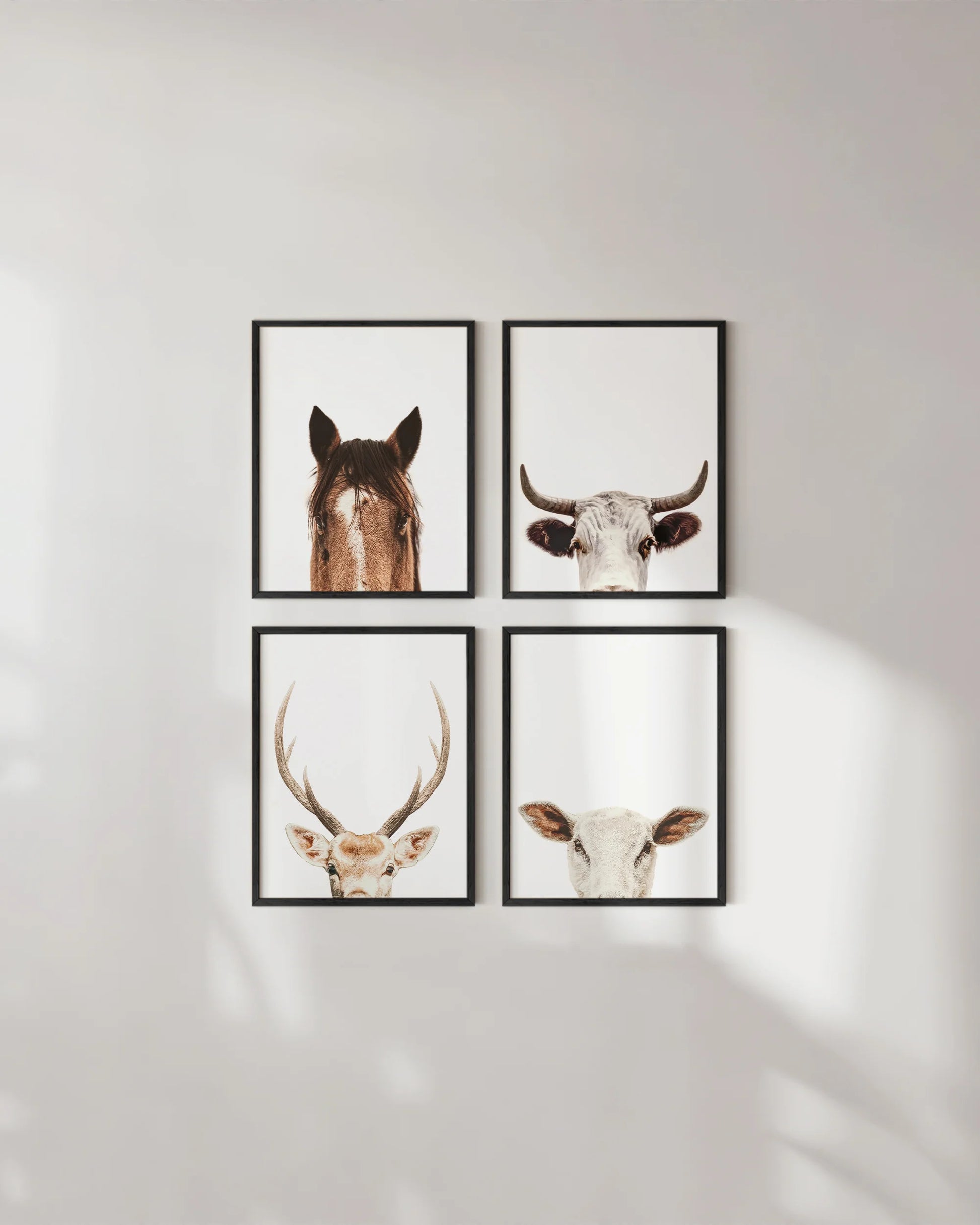 Farm Animal Ear