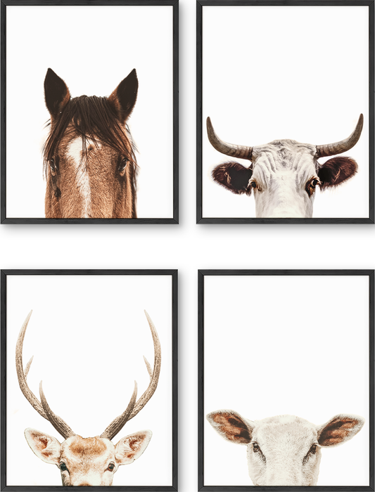 Farm Animal Ear